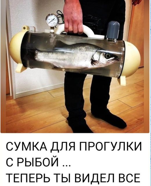 45.jpg
