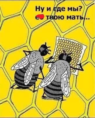 695b5f2b-1ff0-431b-b05a-2446e3d9ce82.jpg